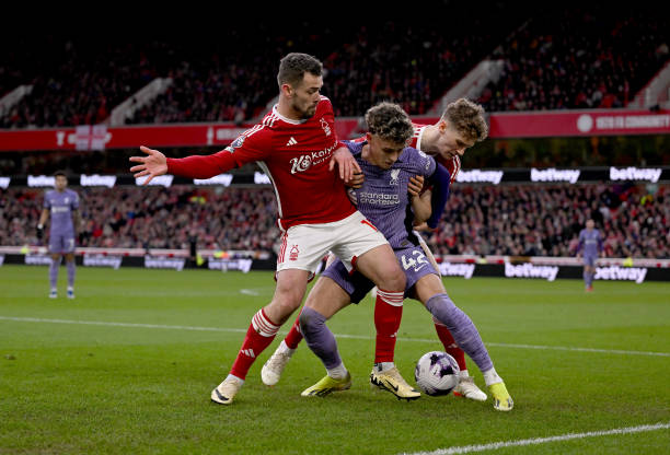 对他的信任 对他的信任