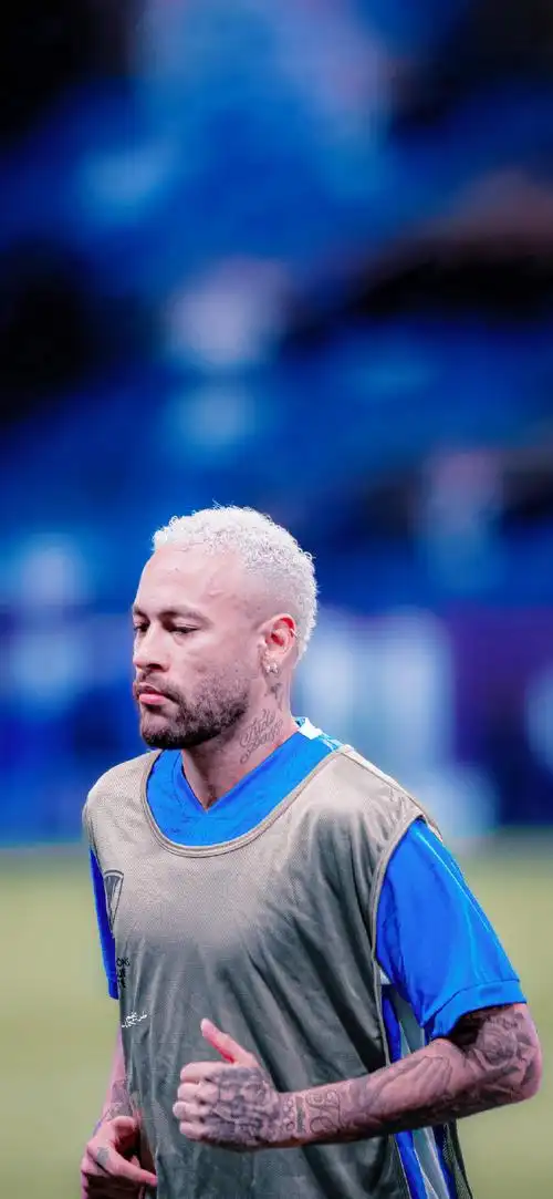 因茨的碰撞 因茨的碰撞